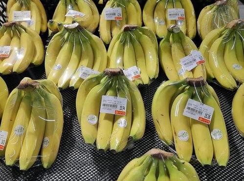 大香蕉大香蕉国产,探寻神秘国度的魅力与传奇